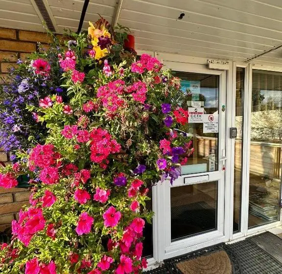 اتاق اکونومی یک تخته, Malahide Guest Rooms