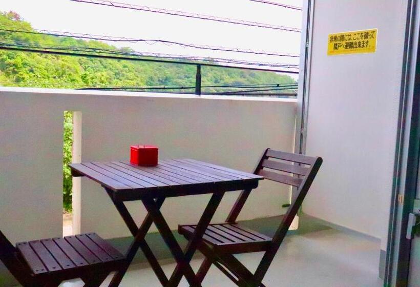 חדר סטנדרט, Hundred Days