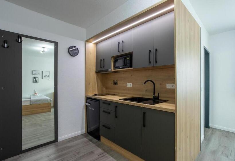 Студия Deluxe, Louis Apartments