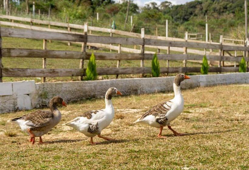 침실 1개 전망 아파트, Chale Em Curitiba   Chales Portugal