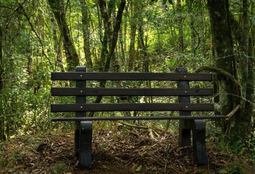 一居室别墅, Chale Em Curitiba   Chales Portugal