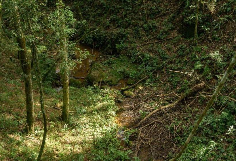 一居室高级别墅, Chale Em Curitiba   Chales Portugal