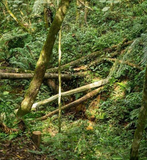 一居室高级别墅, Chale Em Curitiba   Chales Portugal