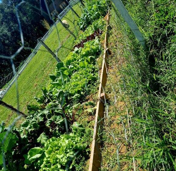 一居室高级别墅, Chale Em Curitiba   Chales Portugal