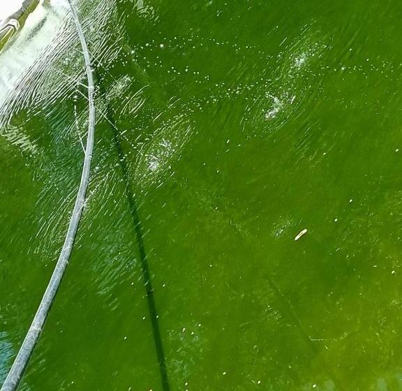 一居室高级别墅, Chale Em Curitiba   Chales Portugal