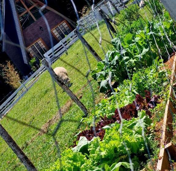 一居室高级别墅, Chale Em Curitiba   Chales Portugal