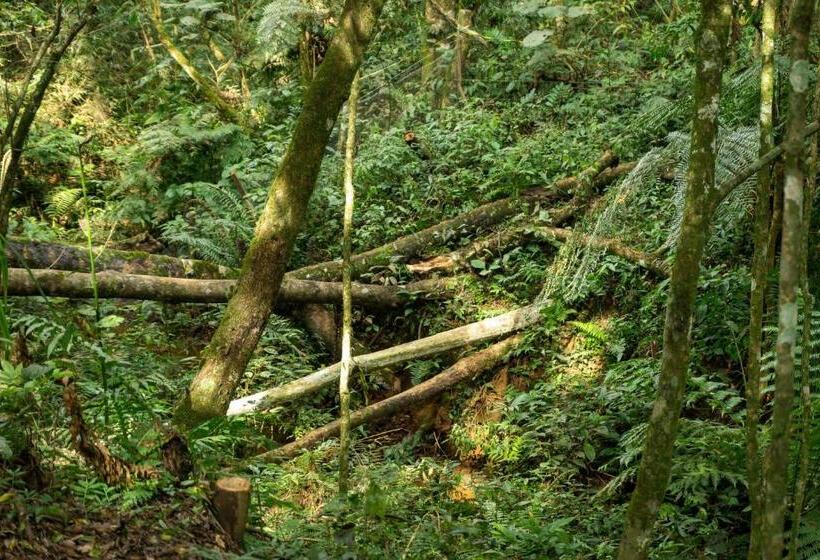 带1个卧室带观景的公寓, Chale Em Curitiba   Chales Portugal