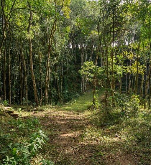 一居室高级别墅, Chale Em Curitiba   Chales Portugal