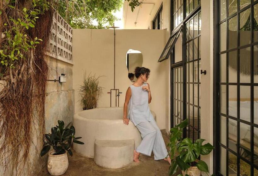 استودیو استاندارد با تخت کینگ, Paz By Dw