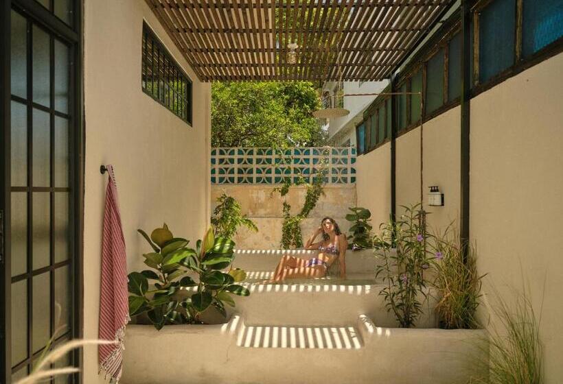 استودیوی لوکس, Paz By Dw