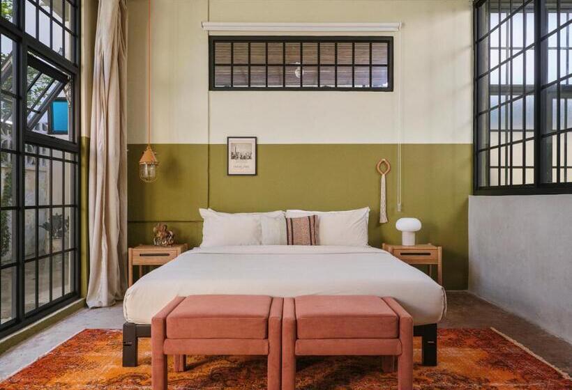 استودیوی لوکس, Paz By Dw