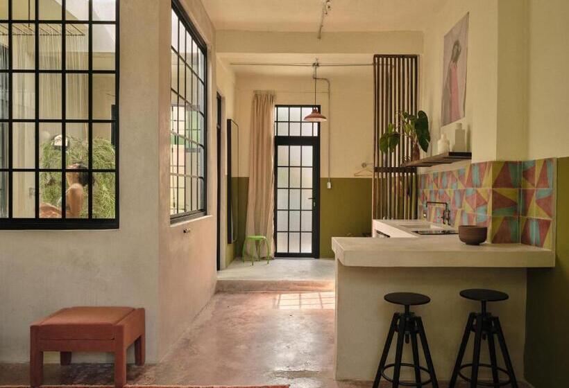 استودیوی لوکس, Paz By Dw