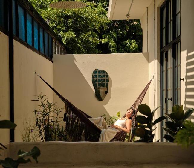 استودیوی لوکس, Paz By Dw