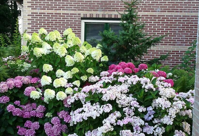 1베드룸 아파트 1층, Appartement De Molshoop Ii