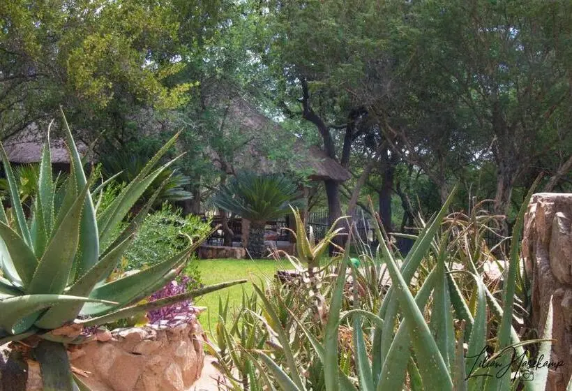 ガーデンビューのスタンダードバンガロー, Hasekamp Family Bush Lodge