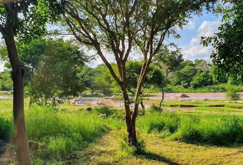 ガーデンビューのスタンダードバンガロー, Hasekamp Family Bush Lodge