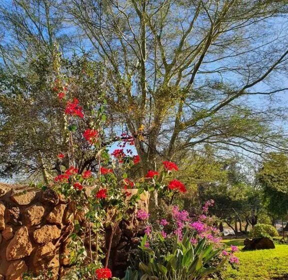 ガーデンビューのスタンダードバンガロー, Hasekamp Family Bush Lodge