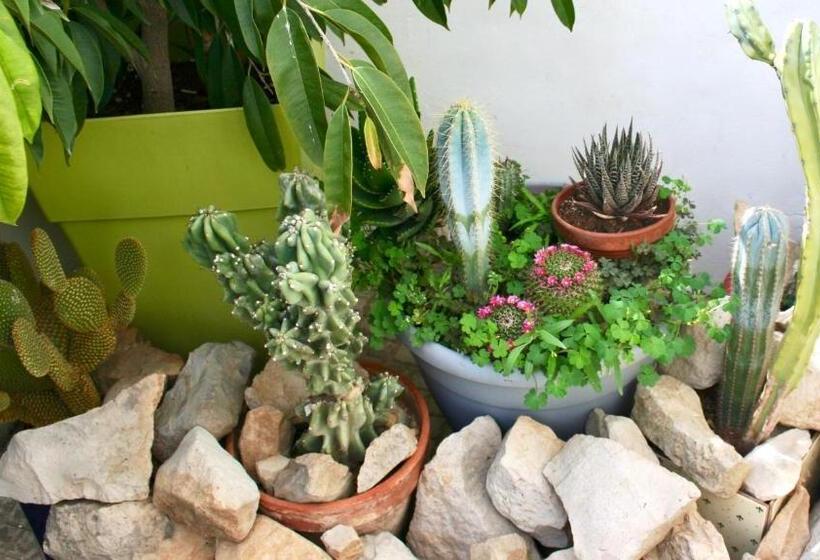 חדר סטנדרט, Il Giglio