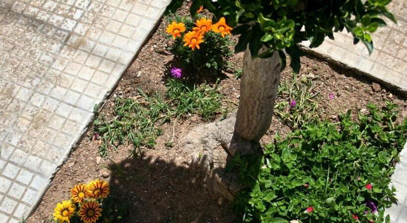 חדר דחוקס עם מיטת קינג, Il Giglio