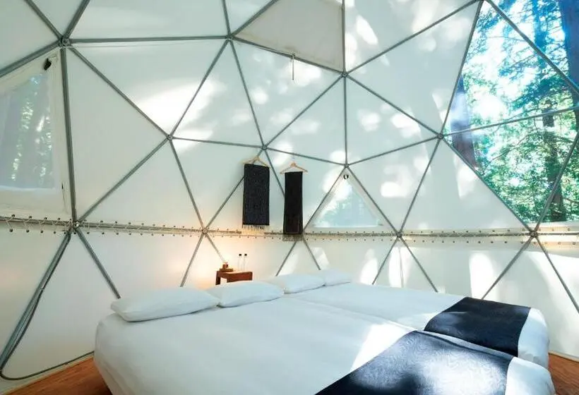 デラックスルーム, 泊まれる公園 Inn The Park