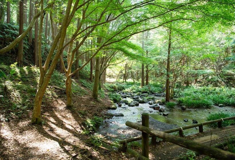 デラックスルーム, 泊まれる公園 Inn The Park
