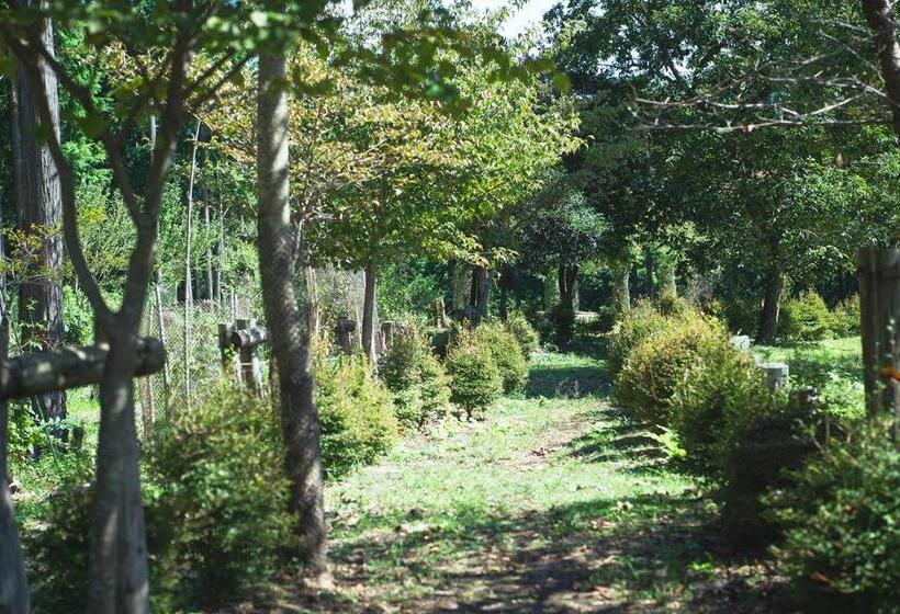 ドゥプレックスルーム, 泊まれる公園 Inn The Park