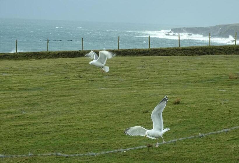 חדר דחוקס עם מיטת קינג, Heather House On The Wild Atlantic Way