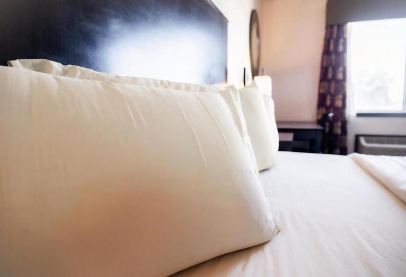 غرفة قياسية لذوى الاحتياجات الخاصة, Ok Welcome Home