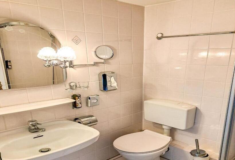 חדר סטנדרט יחיד, Vienenburg