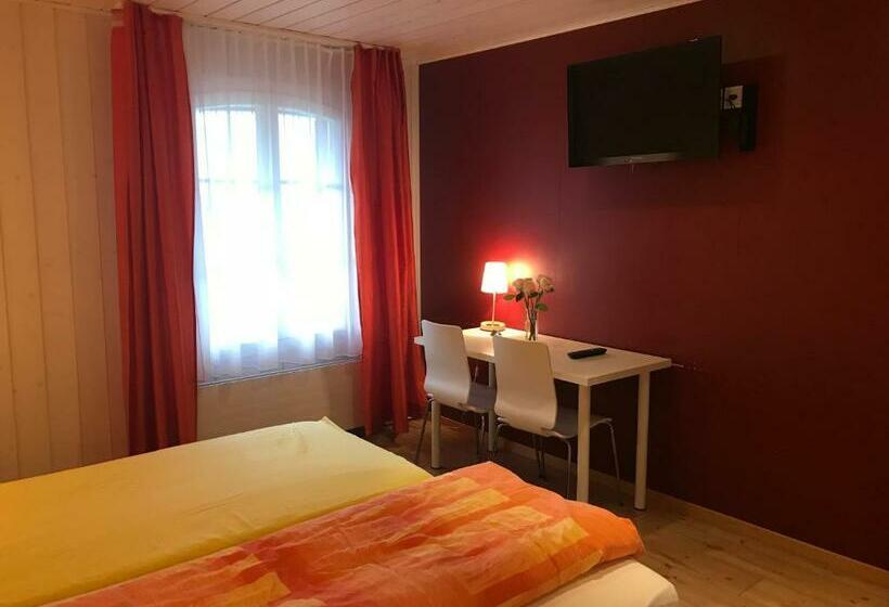 Standardeinzelzimmer, Alpenblick Ferenberg Bern