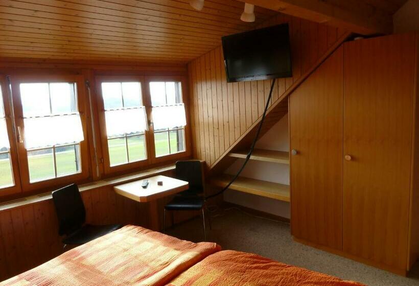 Standardzimmer, Alpenblick Ferenberg Bern