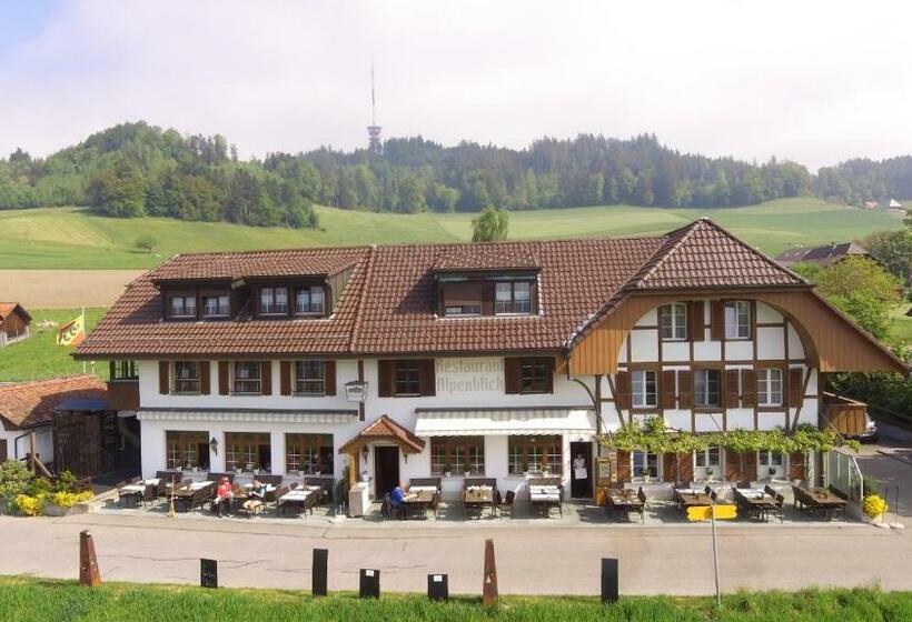 Standardeinzelzimmer, Alpenblick Ferenberg Bern