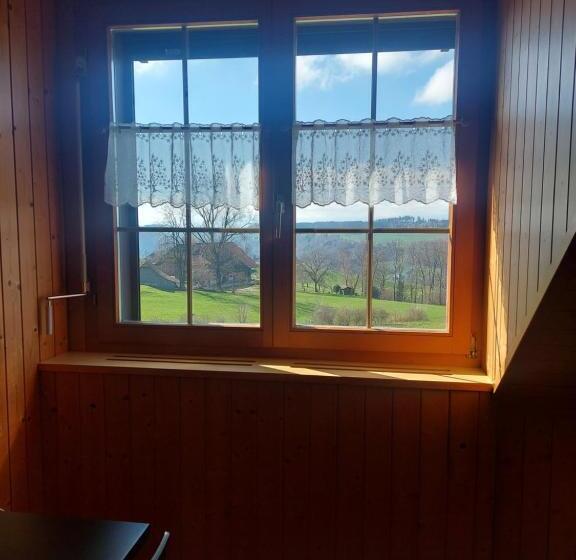 Номер Стандарт, Alpenblick Ferenberg Bern