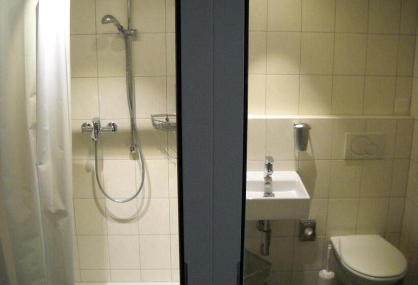 Standardeinzelzimmer, Alpenblick Ferenberg Bern