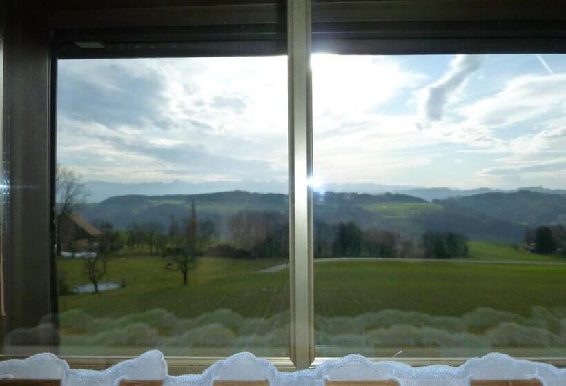 Standardeinzelzimmer, Alpenblick Ferenberg Bern
