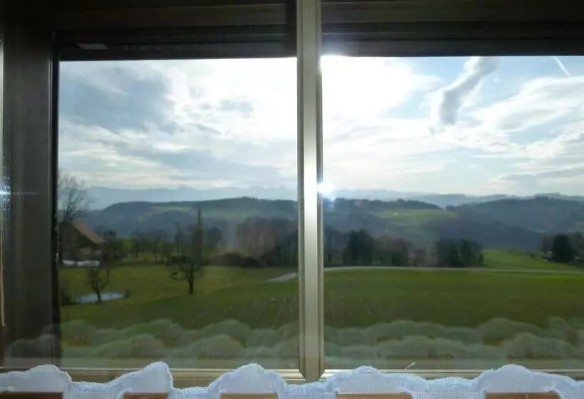 スタンダードシングルルーム, Alpenblick Ferenberg Bern