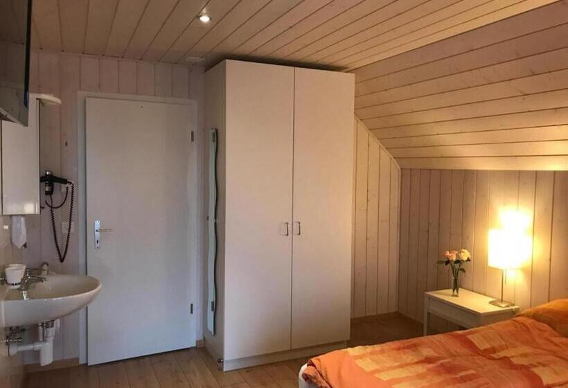 Standardzimmer Geteiltes Bad, Alpenblick Ferenberg Bern