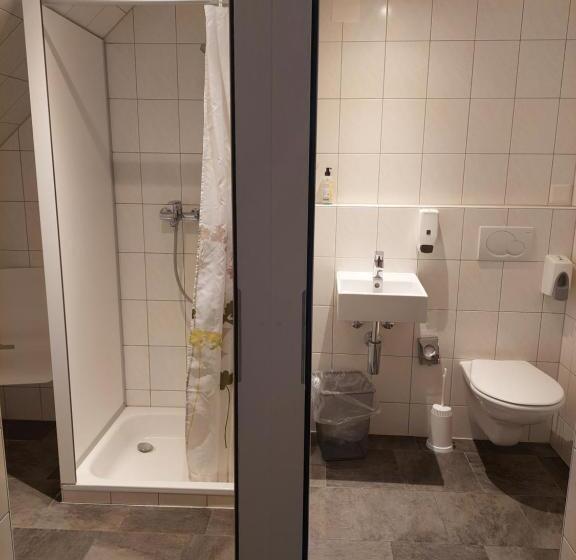 Standardeinzelzimmer, Alpenblick Ferenberg Bern