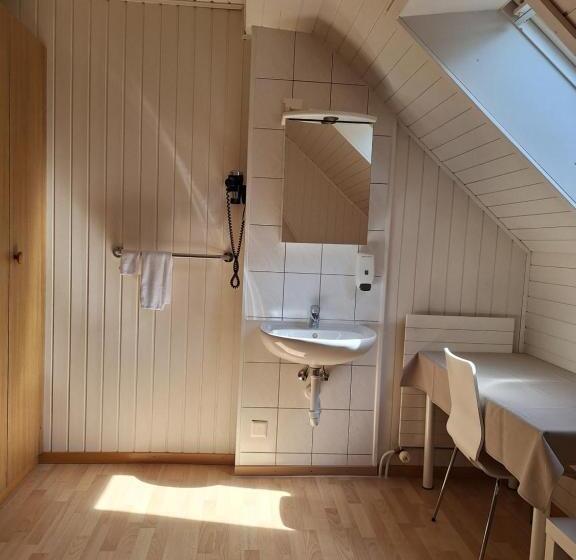 Standardeinzelzimmer, Alpenblick Ferenberg Bern