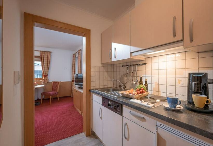 استوديو أساسي, Apartment Anita