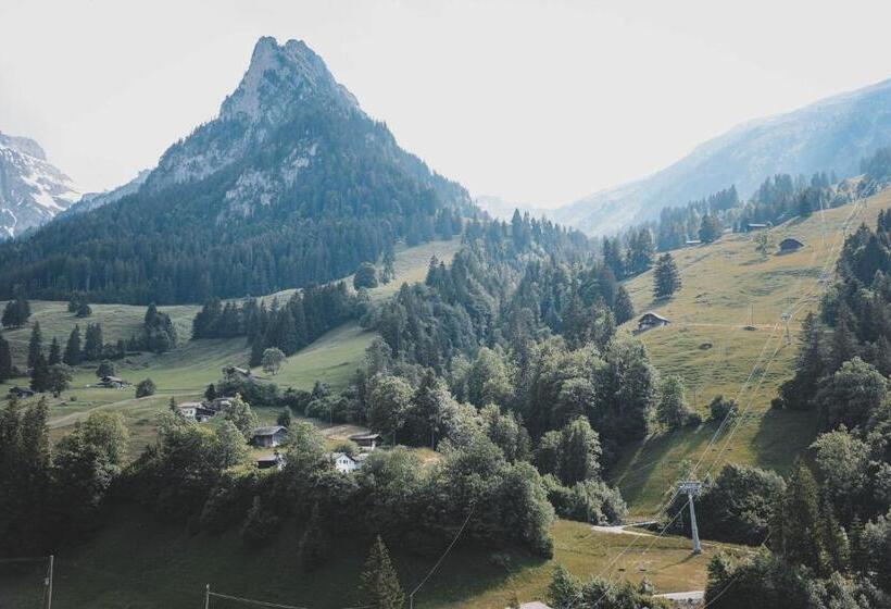 기본룸, Historisches Hotel Bären