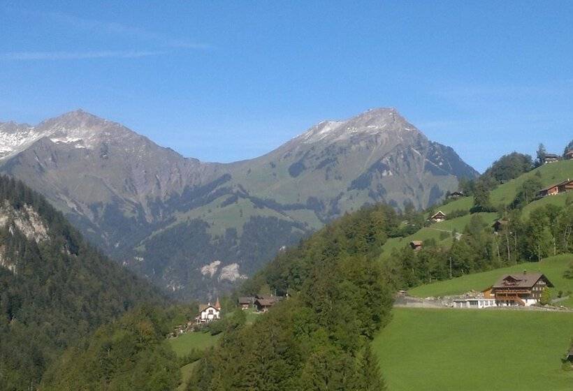 스탠다드 룸 산 전망, Historisches Hotel Bären