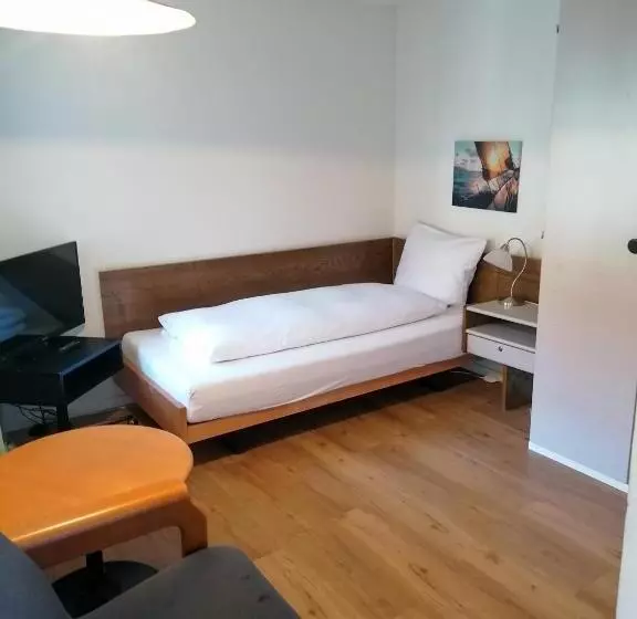 Standard Yhden Hengen Huone, Gasthof Zur Waag
