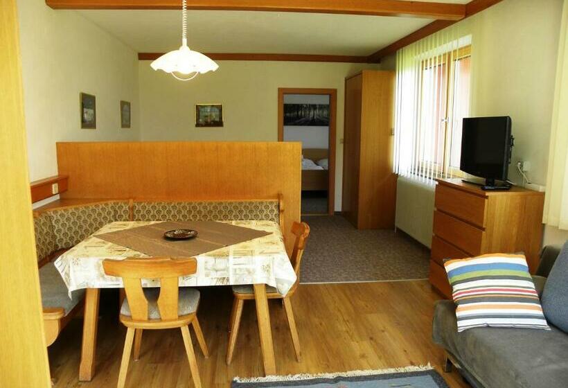 带1个卧室的公寓, Gästehaus Apschner