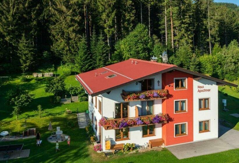 带1个卧室的公寓, Gästehaus Apschner