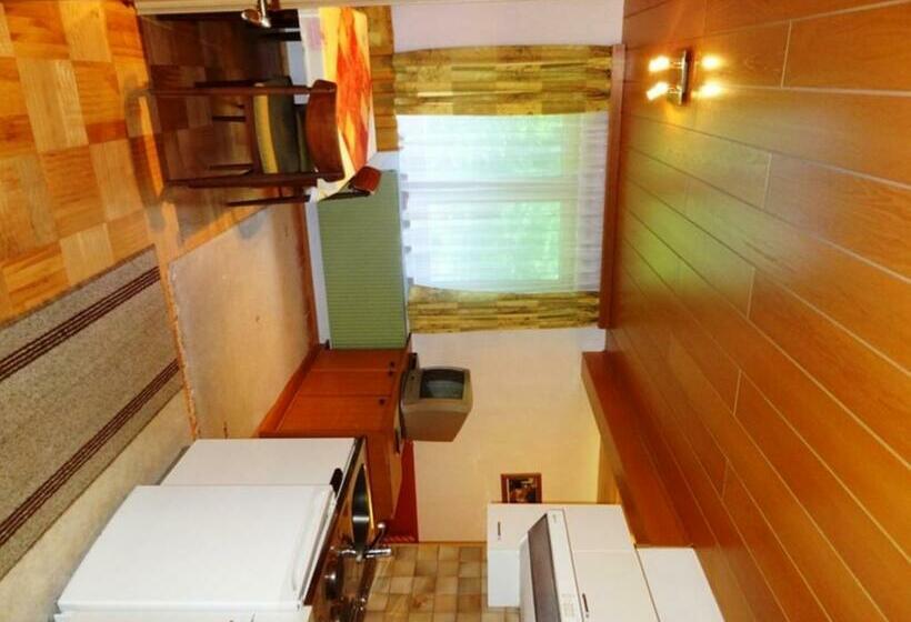 带1个卧室的公寓, Gästehaus Apschner