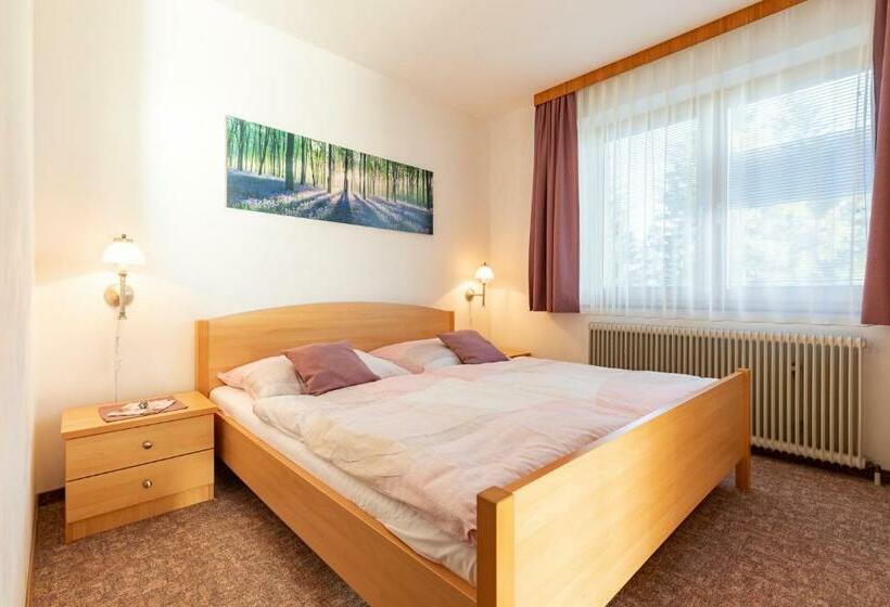 带1个卧室的公寓, Gästehaus Apschner