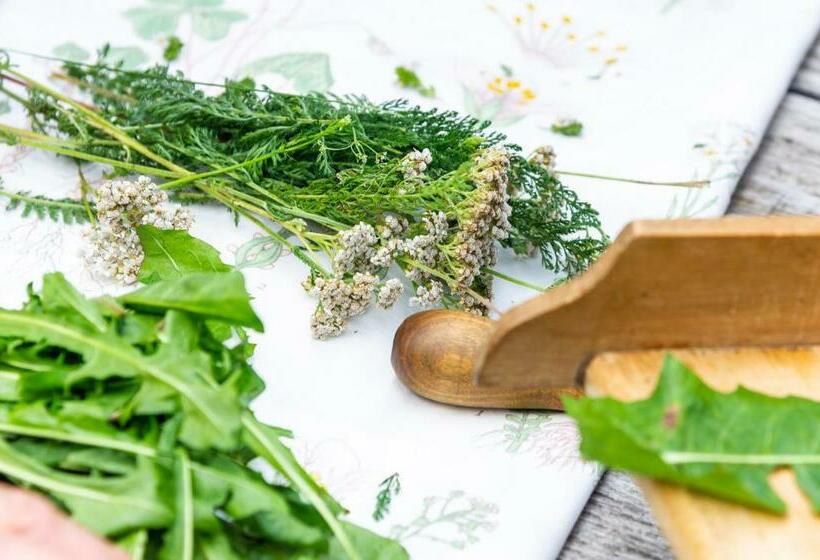 חדר סטנדרט, Heimat   Das Natur Resort