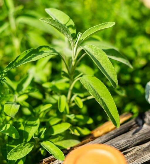 חדר סטנדרט, Heimat   Das Natur Resort