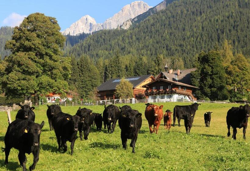 Номер Superior с Террасой, Lärchenhof